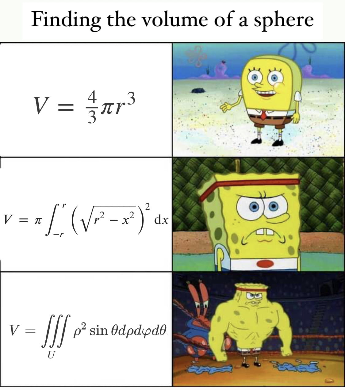 Sponge
Bob